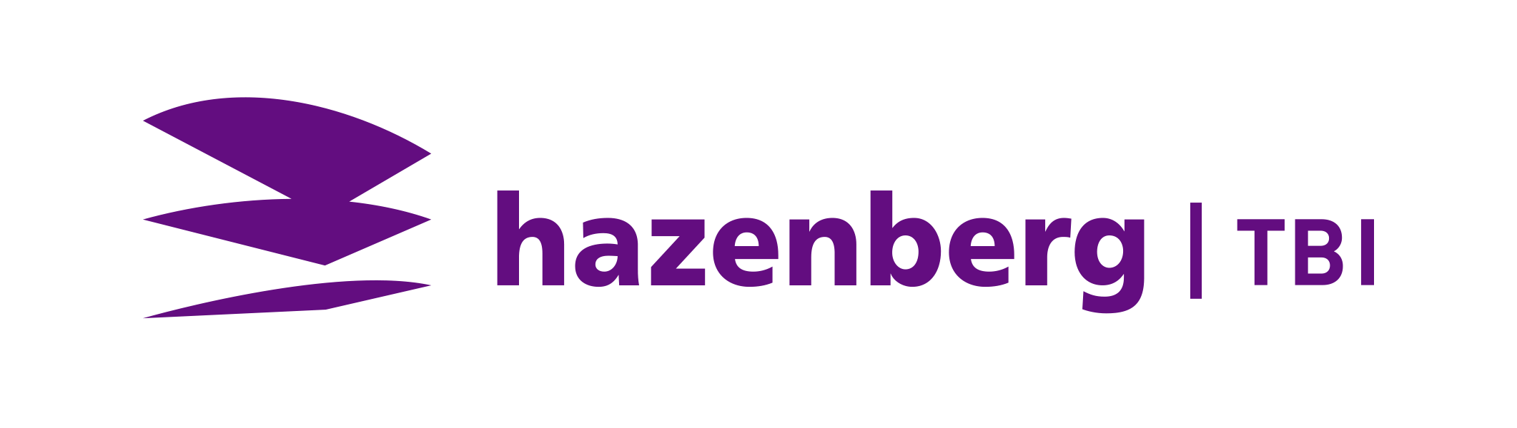 Logo Tbi Hazenberg Rgb